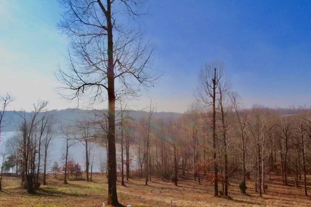 Lot 69 Kelsey Joe Lane Eddyville KY 42038