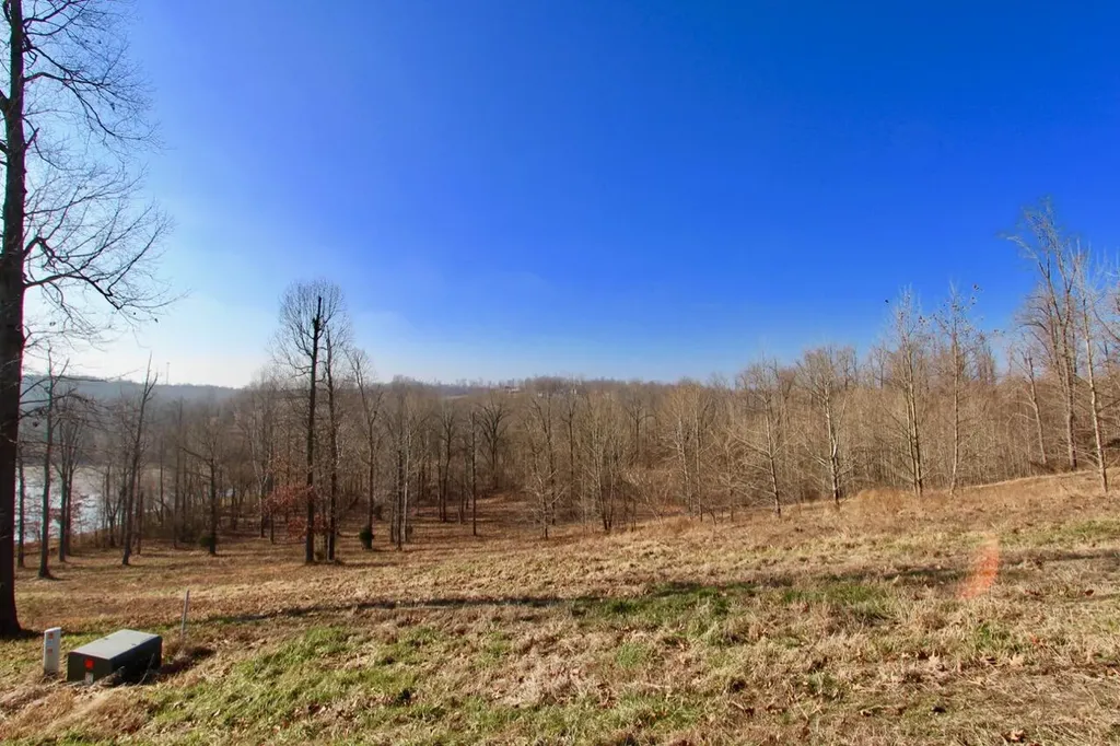 Lot 69 Kelsey Joe Lane Eddyville KY 42038