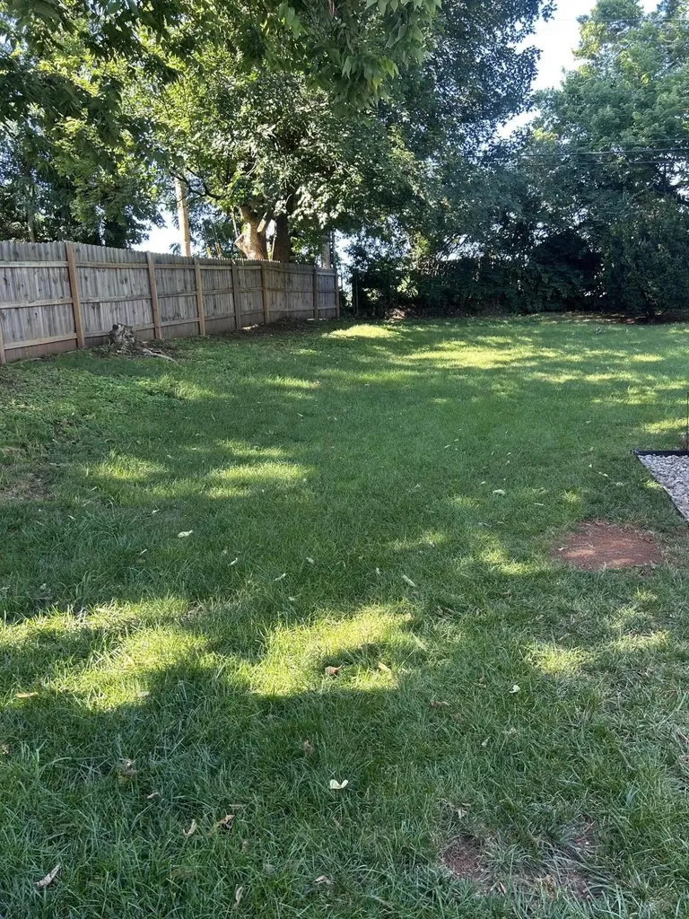 386 Bradford Drive Lexington KY 40503