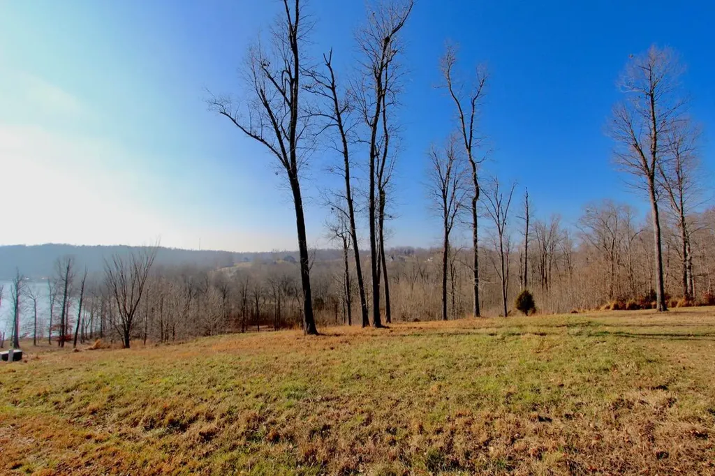 Lot 66 Kelsey Joe Lane Eddyville KY 42038
