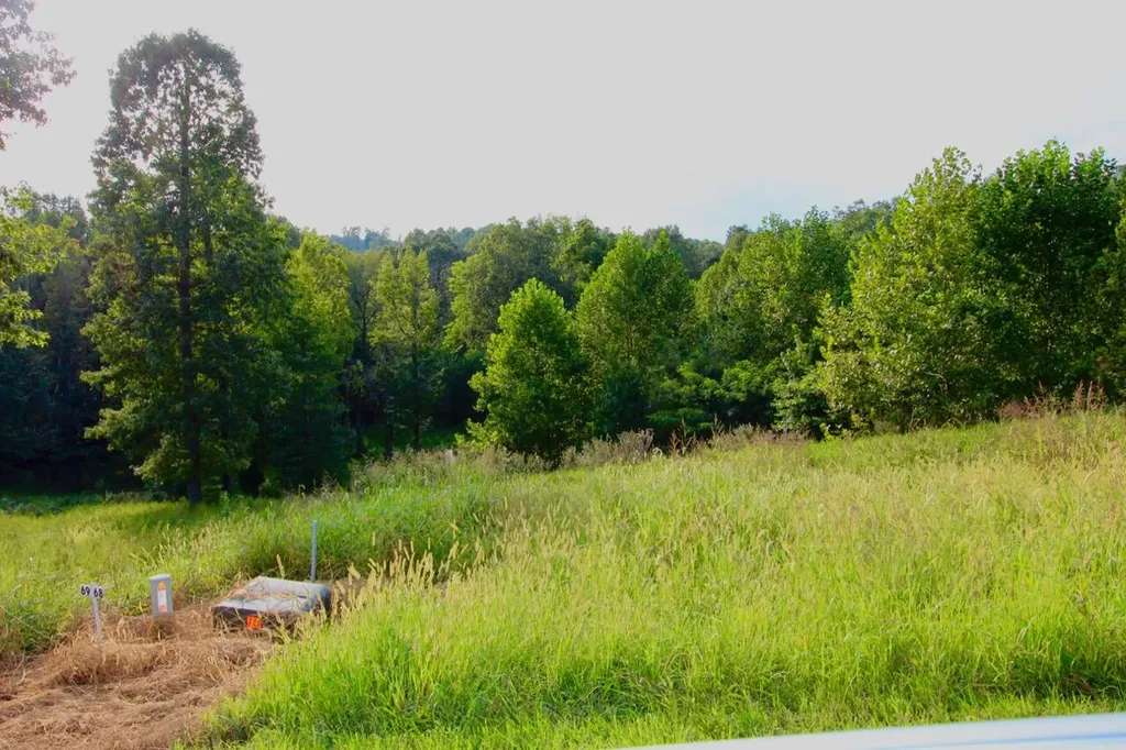 Lot 68 Kelsey Joe Lane Eddyville KY 42038