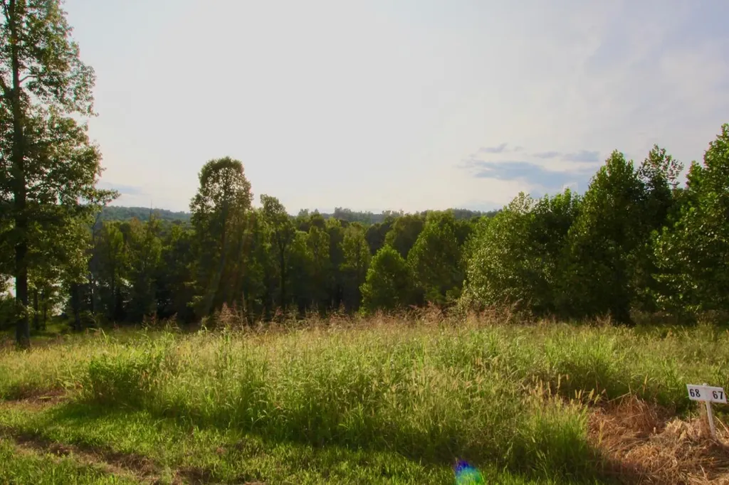 Lot 68 Kelsey Joe Lane Eddyville KY 42038