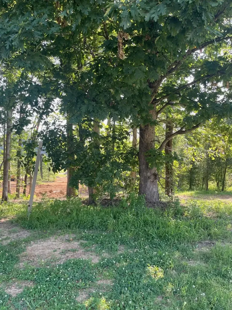 290 Forest Ridge Drive Paducah KY 42003