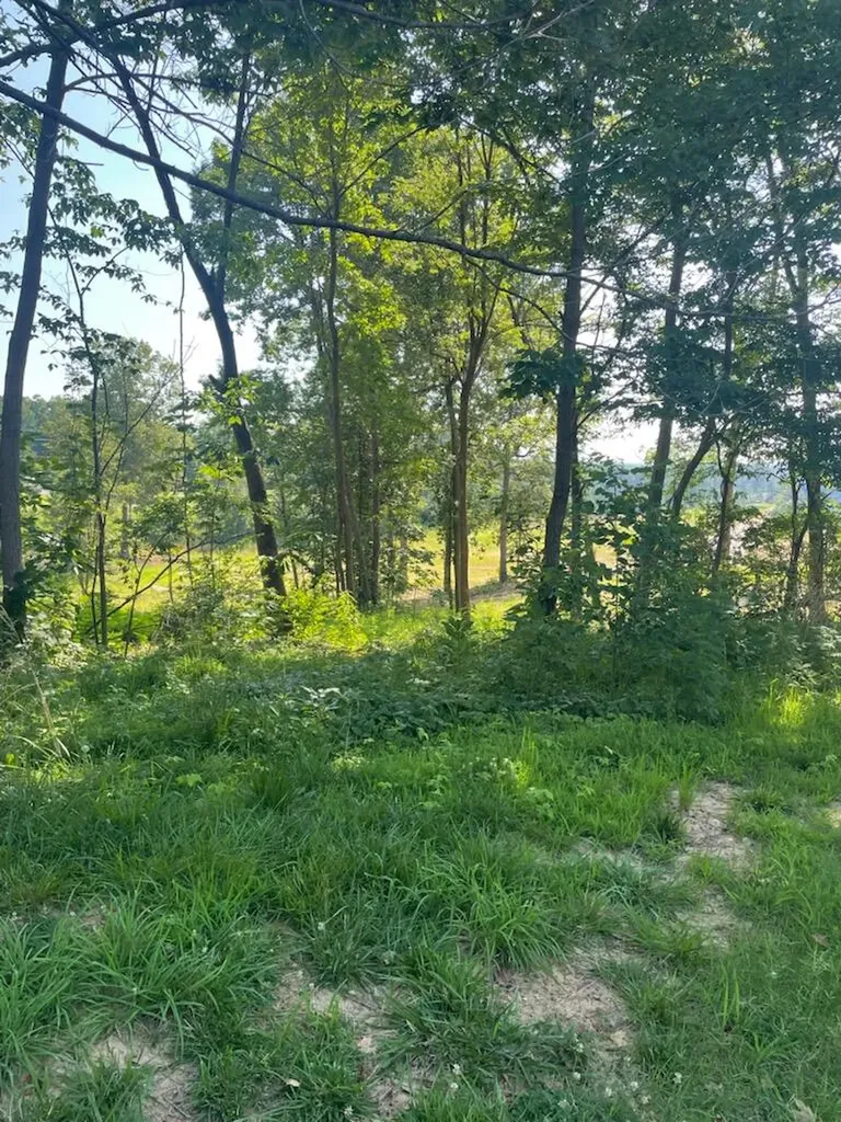 240 Forest Ridge Drive Paducah KY 42003