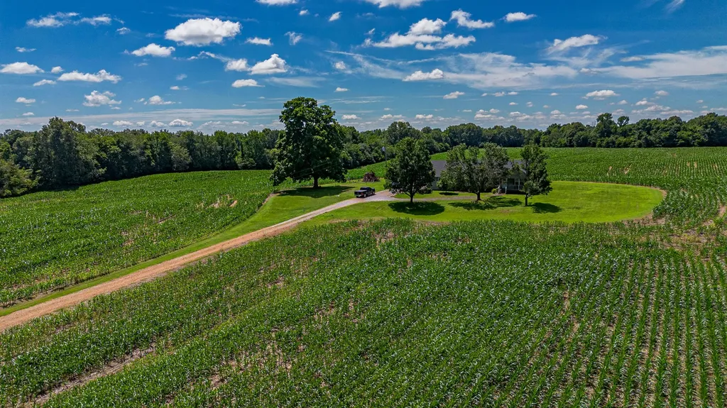9570 State Route 131 Hickory KY 42051