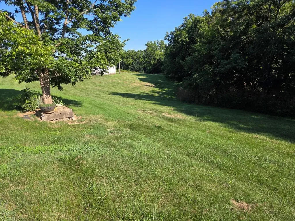1737 Tea Run Road Ewing KY 41039