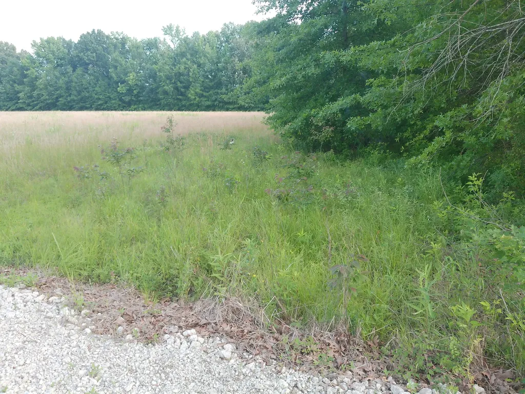 4400 Shemwell Lane Paducah KY 42003