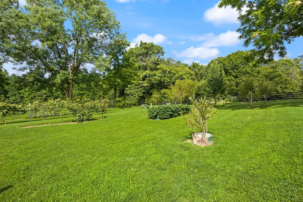 1310 Hopeful School Road Nancy KY 42544