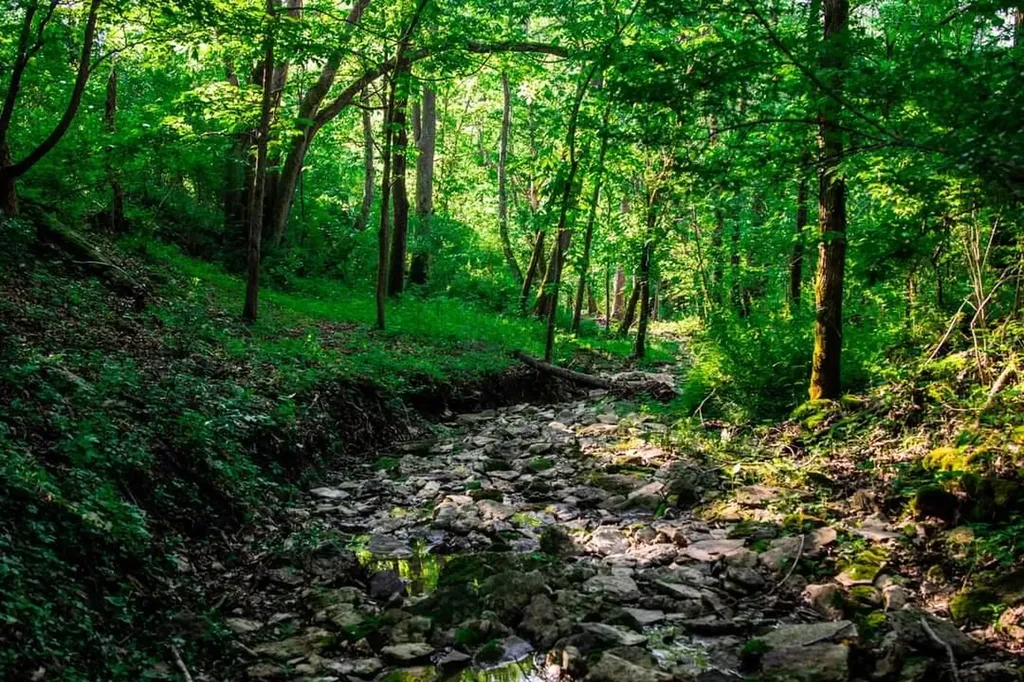 3043 Poosey Ridge Road Richmond KY 40475