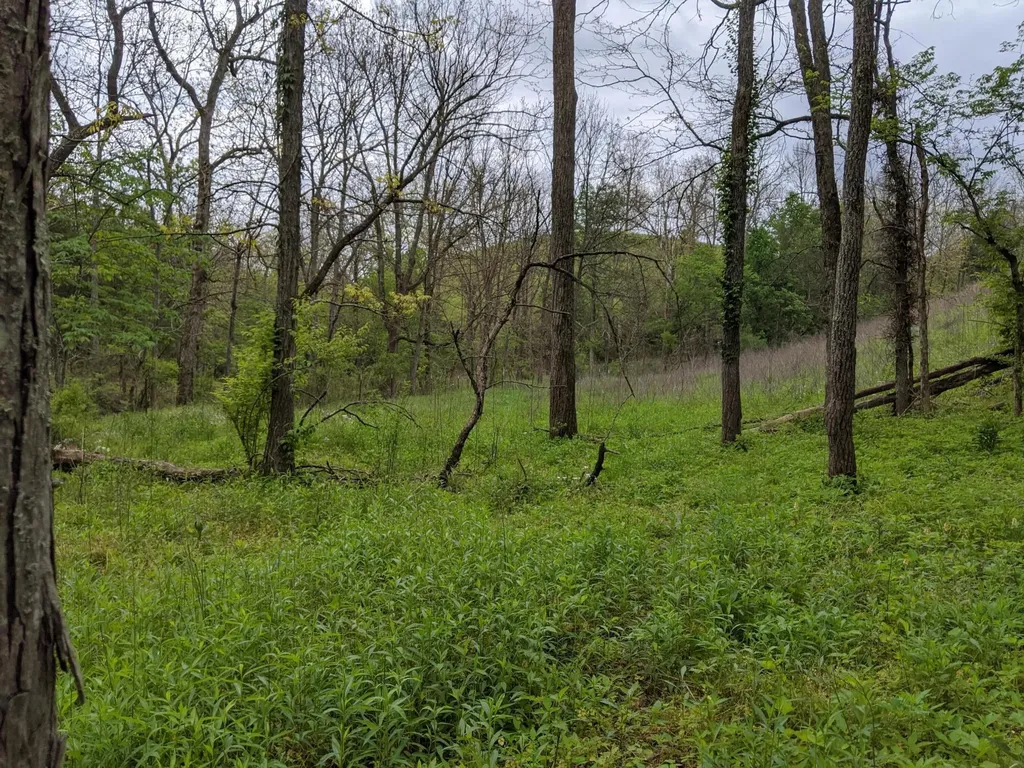 3043 Poosey Ridge Road Richmond KY 40475