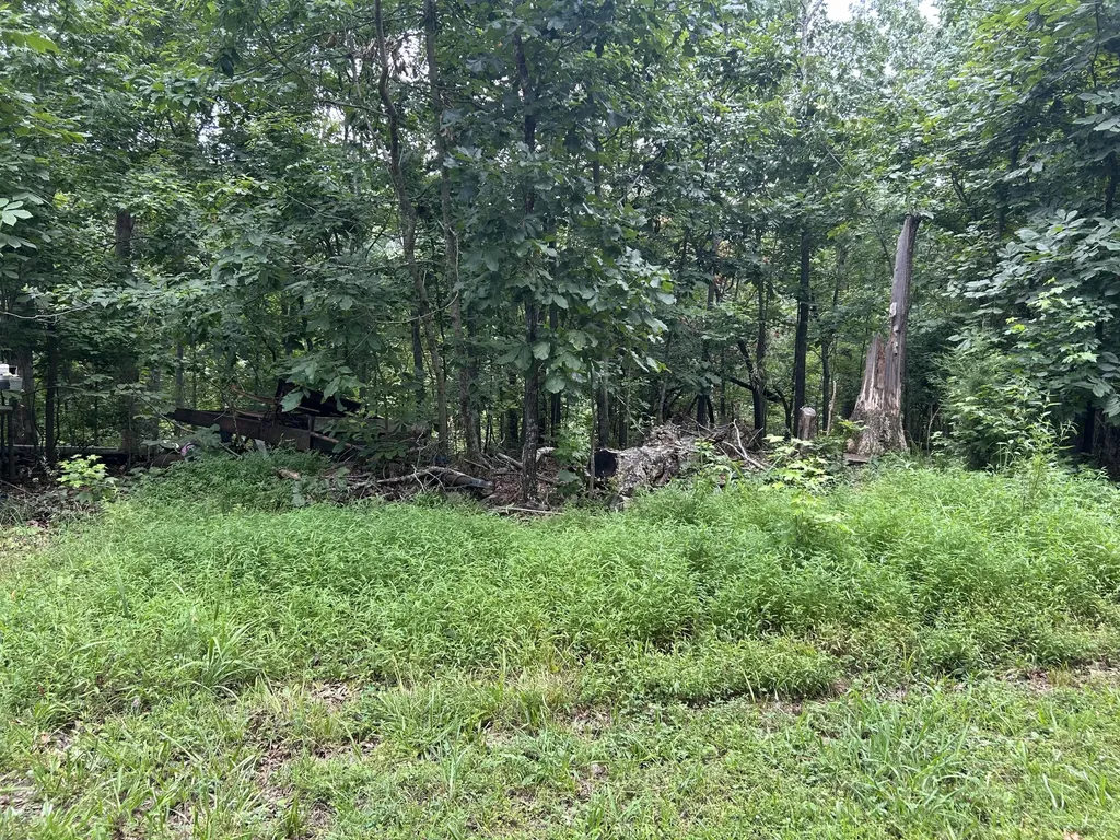 84 Mcclure Drive Murray KY 42071
