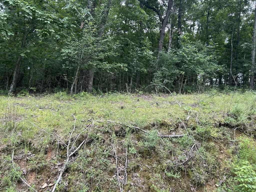 84 Mcclure Drive Murray KY 42071