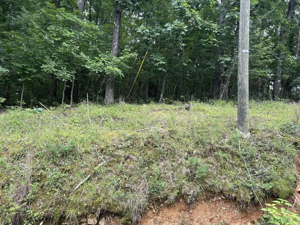84 Mcclure Drive Murray KY 42071