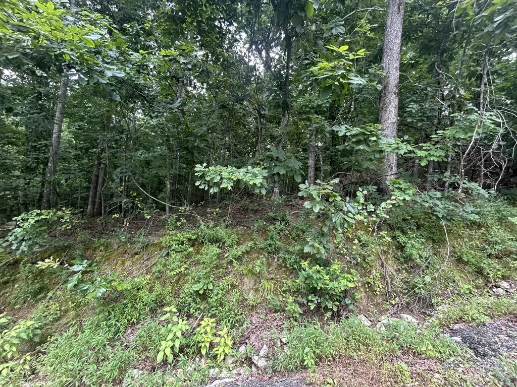 84 Mcclure Drive Murray KY 42071