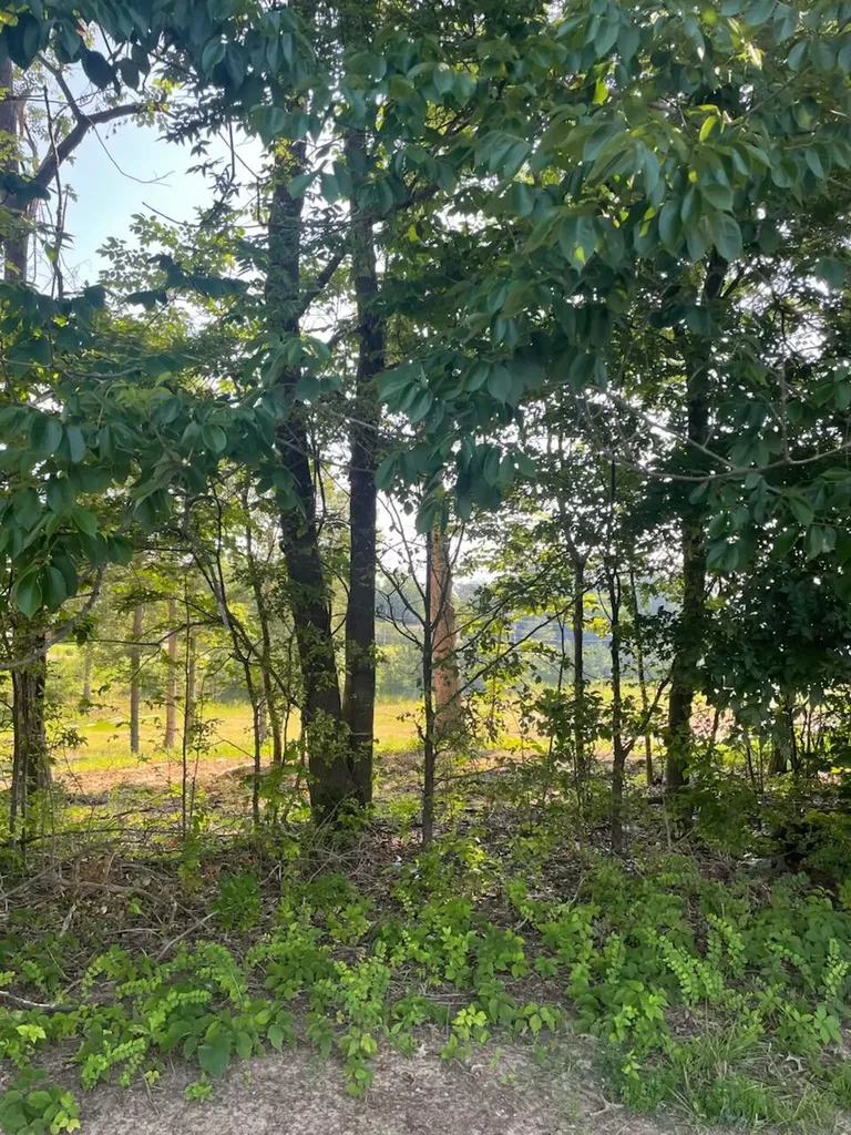 260 Forest Ridge Drive Paducah KY 42003