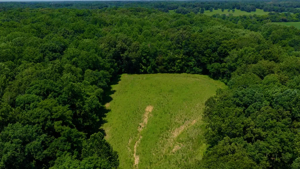 5279 E State Line Road Hazel KY 42049
