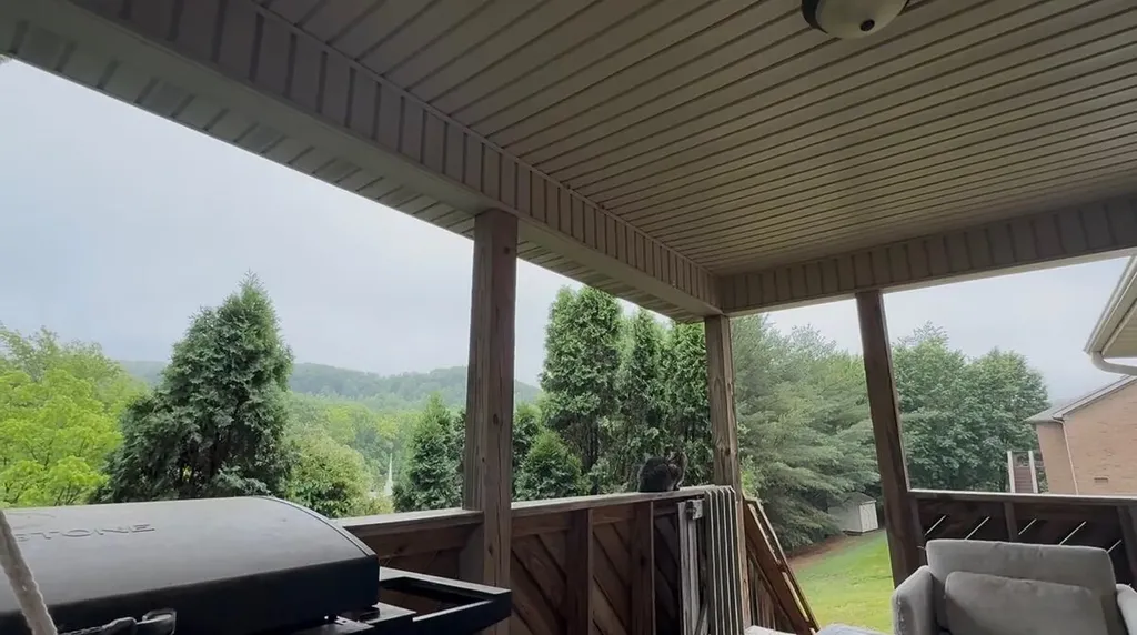 201 Pinecrest Court Berea KY 40403