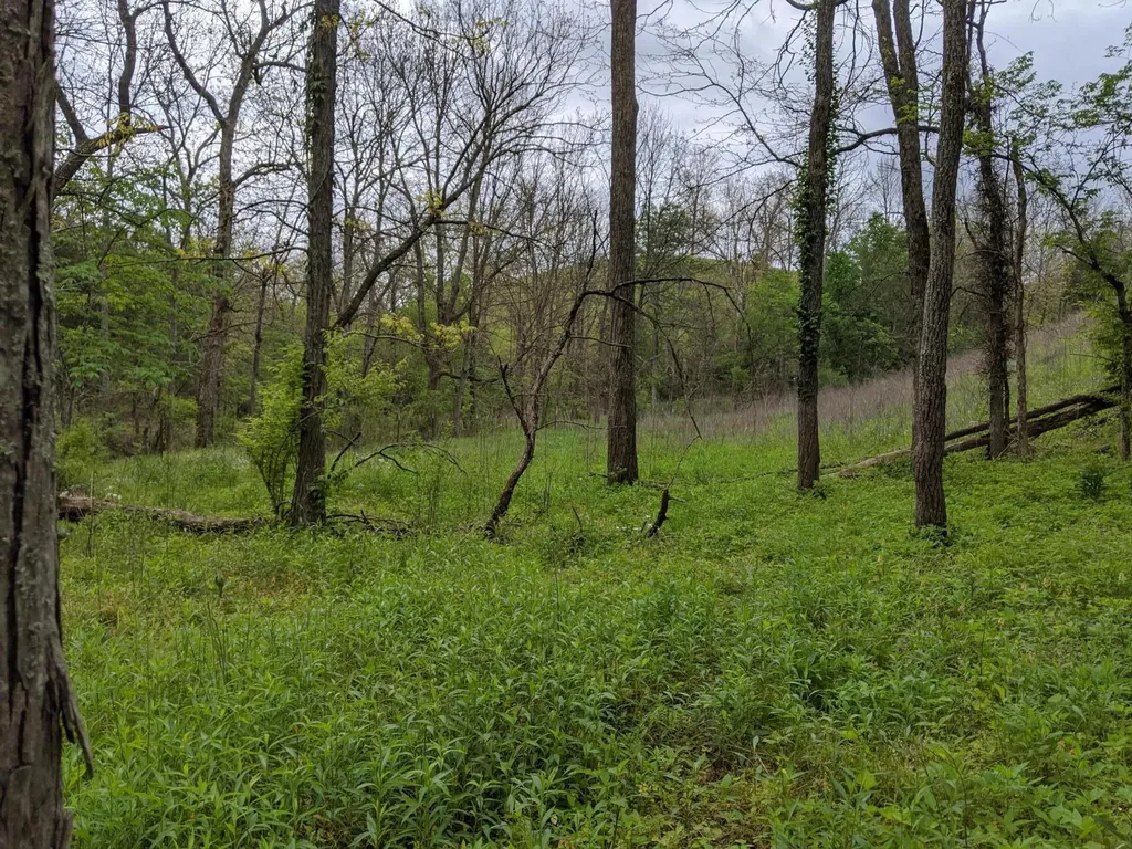 3043 Poosey Ridge Road Richmond KY 40475
