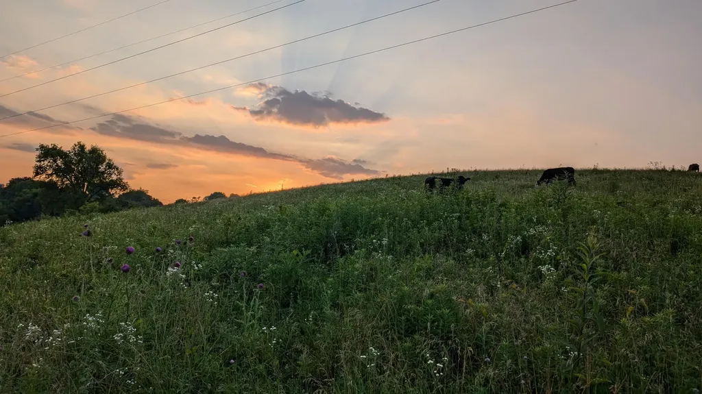 3043 Poosey Ridge Road Richmond KY 40475
