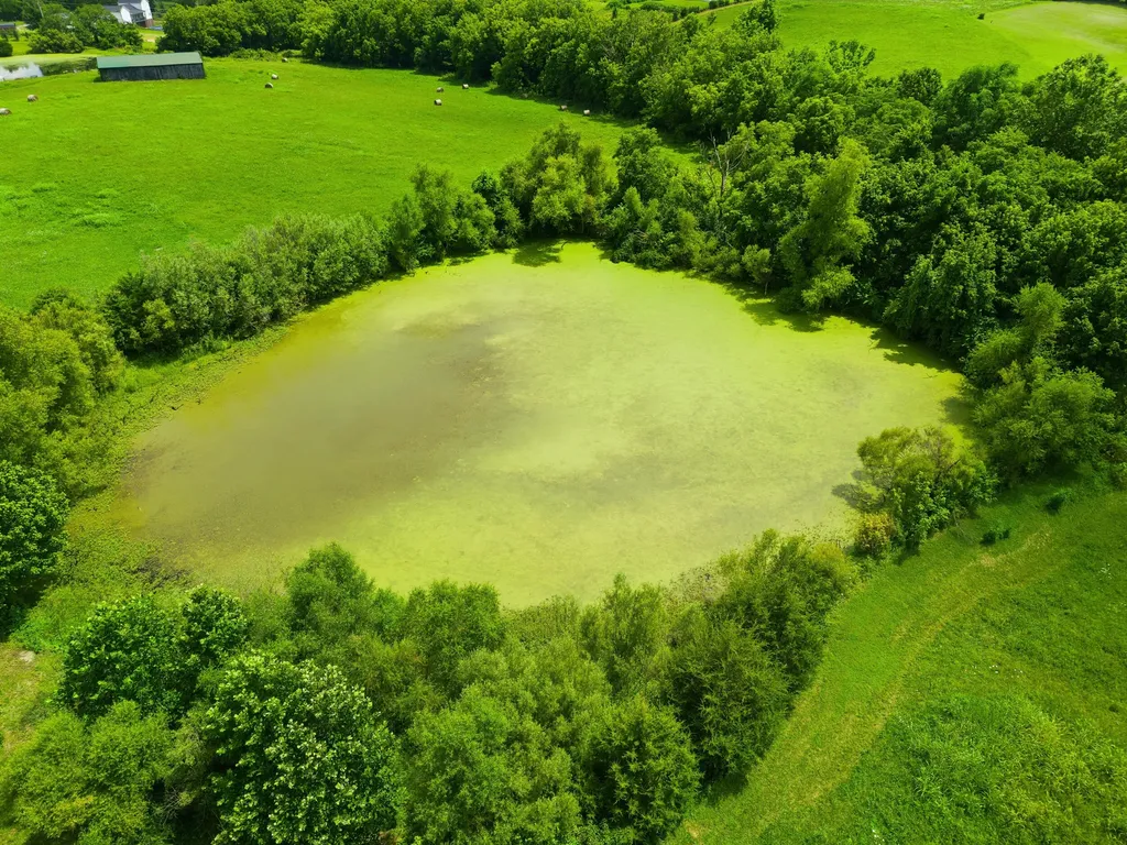 1793 Kentucky Highway 1770 Stanford KY 40484