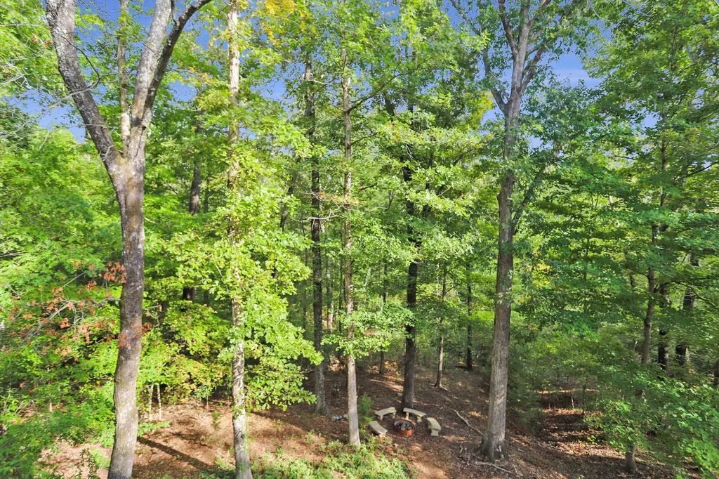 1386 Boatwright Trail Murray KY 42071