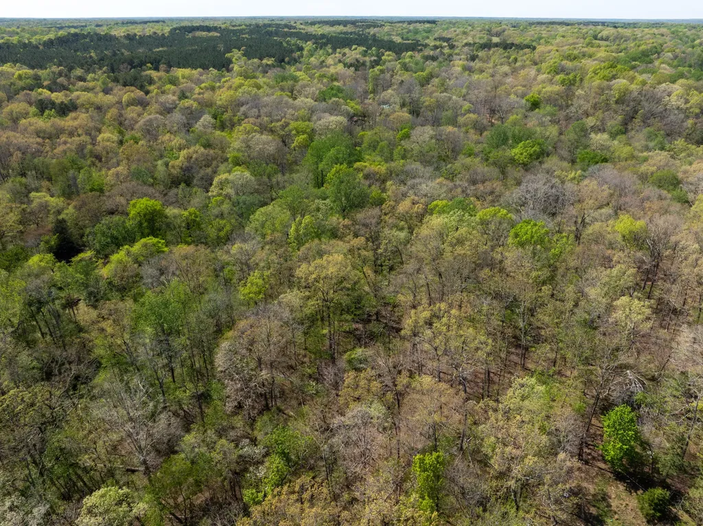 672-702 Shannon Creek Road New Concord KY 42076