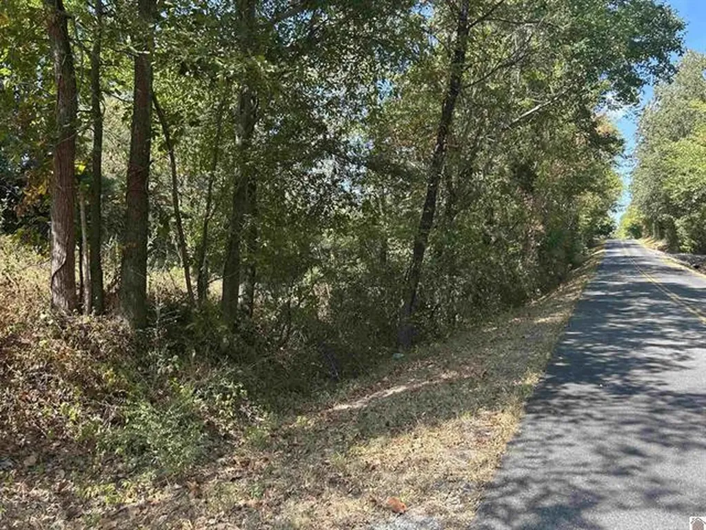 000 000 Briensburg Tatumsville Road Benton KY 42025