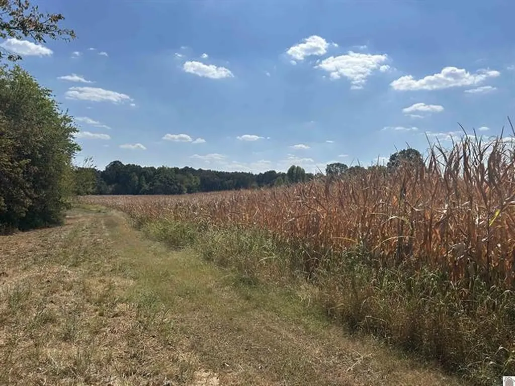 000 000 Briensburg Tatumsville Road Benton KY 42025