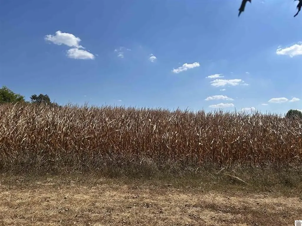 000 000 Briensburg Tatumsville Road Benton KY 42025