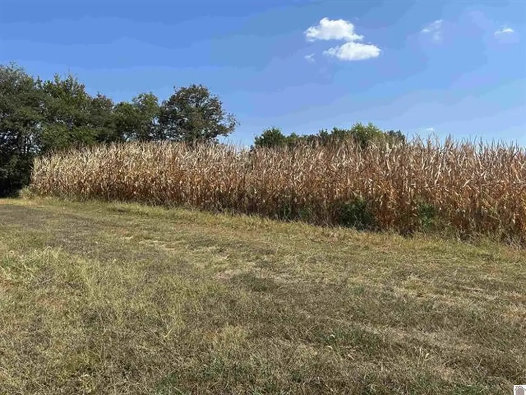 000 000 Briensburg Tatumsville Road Benton KY 42025