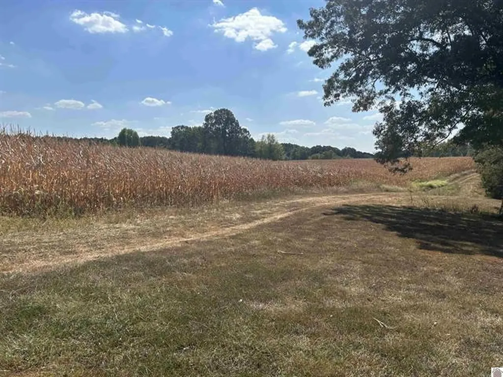 000 000 Briensburg Tatumsville Road Benton KY 42025