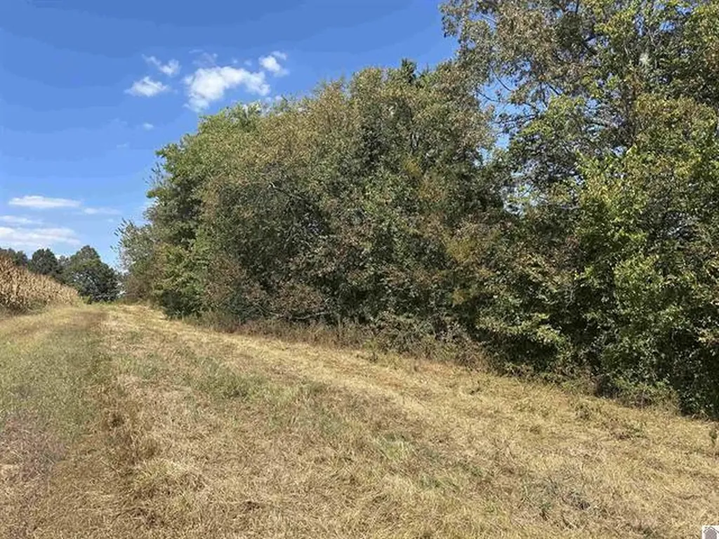 000 000 Briensburg Tatumsville Road Benton KY 42025