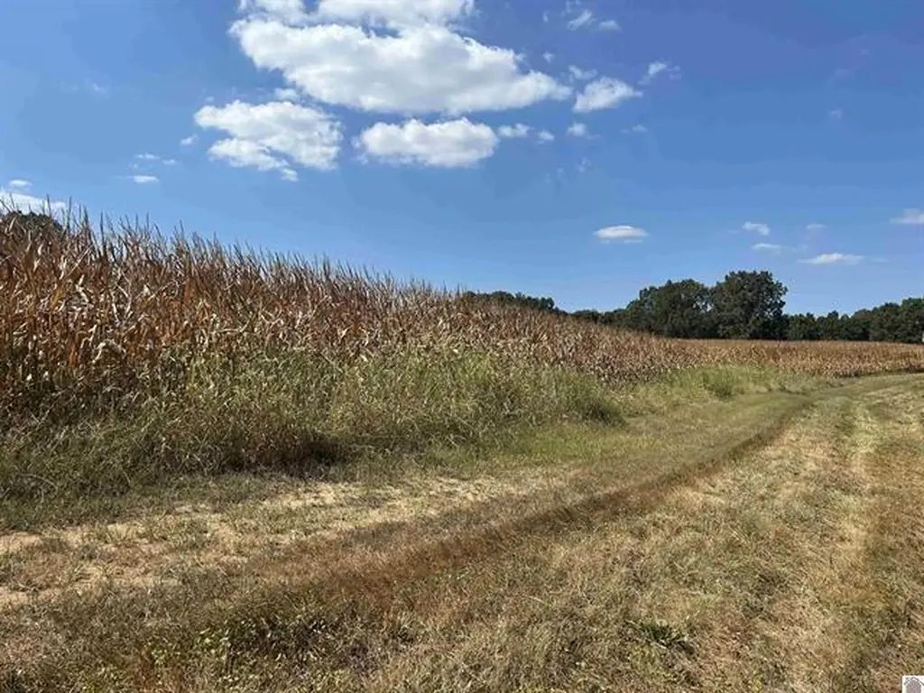 000 000 Briensburg Tatumsville Road Benton KY 42025