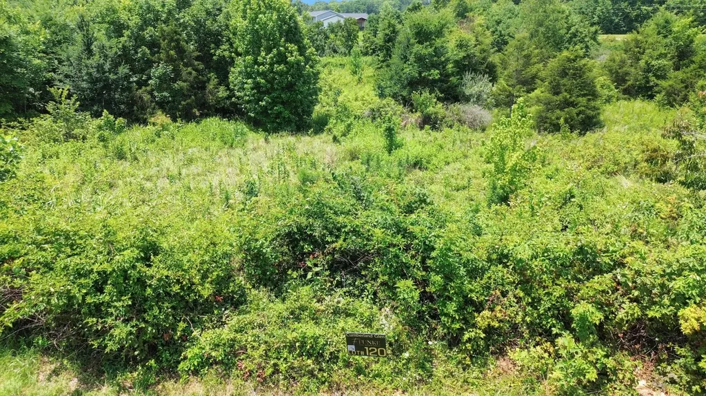 121 Kelly Circle Nancy KY 42544