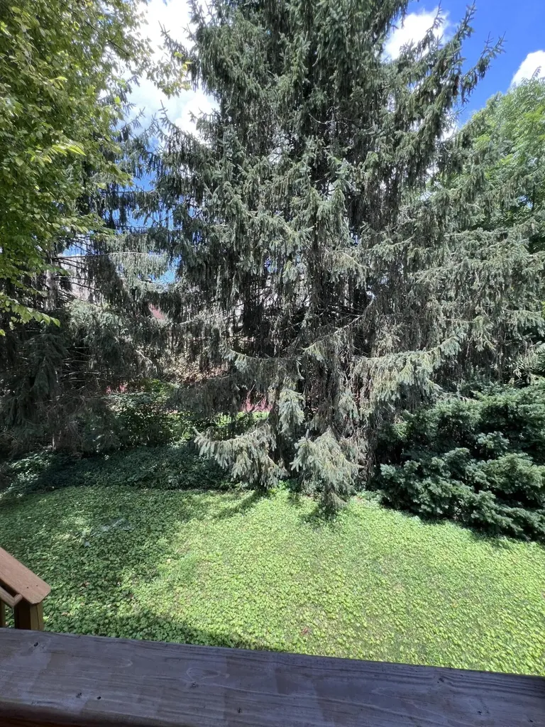 1217 Trumpeter Row Lexington KY 40502