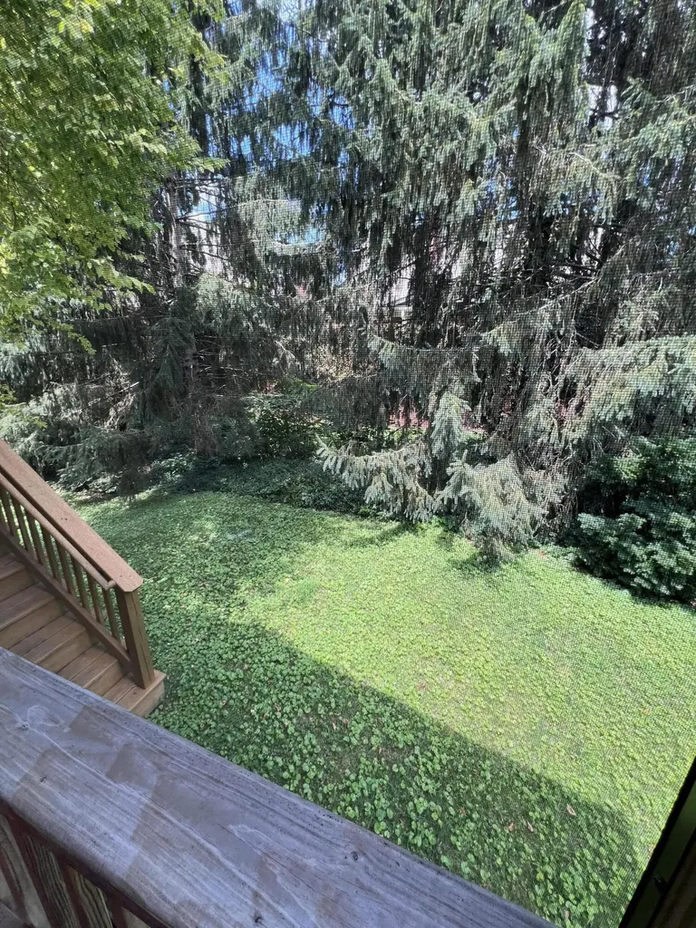1217 Trumpeter Row Lexington KY 40502