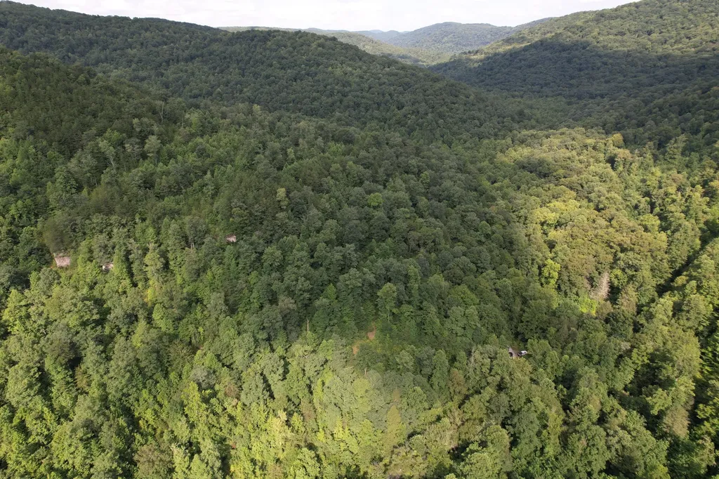 0 Little Rock Creek Road Strunk KY 42649
