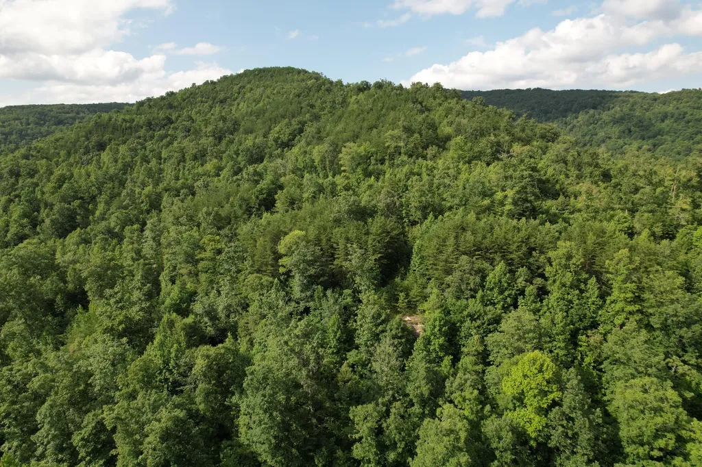 0 Little Rock Creek Road Strunk KY 42649