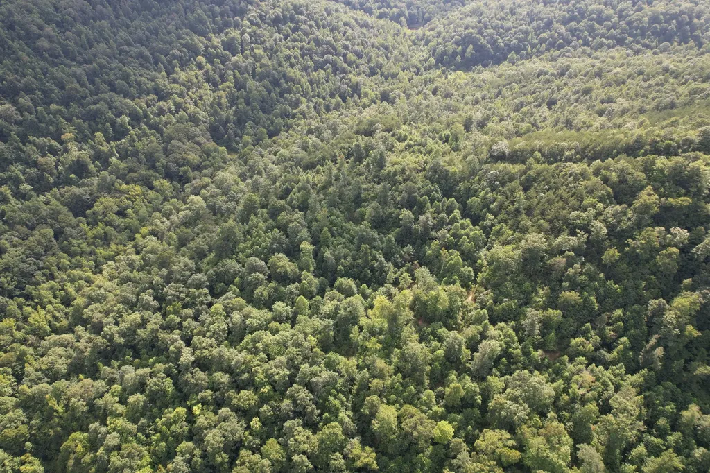 0 Little Rock Creek Road Strunk KY 42649