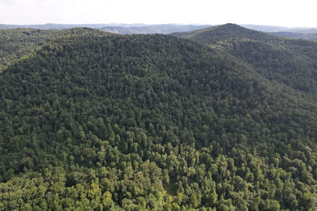 0 Little Rock Creek Road Strunk KY 42649