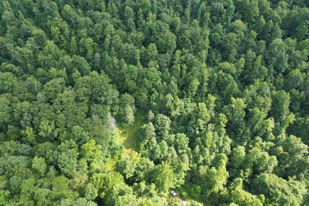 0 Little Rock Creek Road Strunk KY 42649