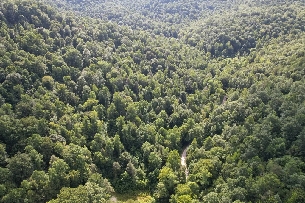 0 Little Rock Creek Road Strunk KY 42649