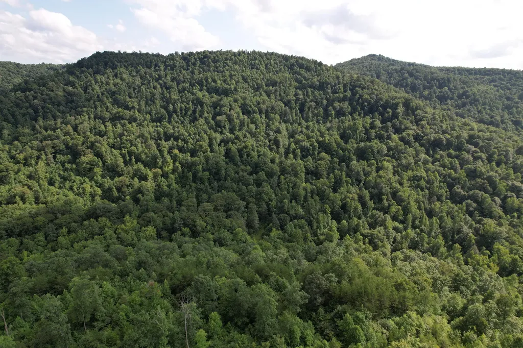 0 Little Rock Creek Road Strunk KY 42649