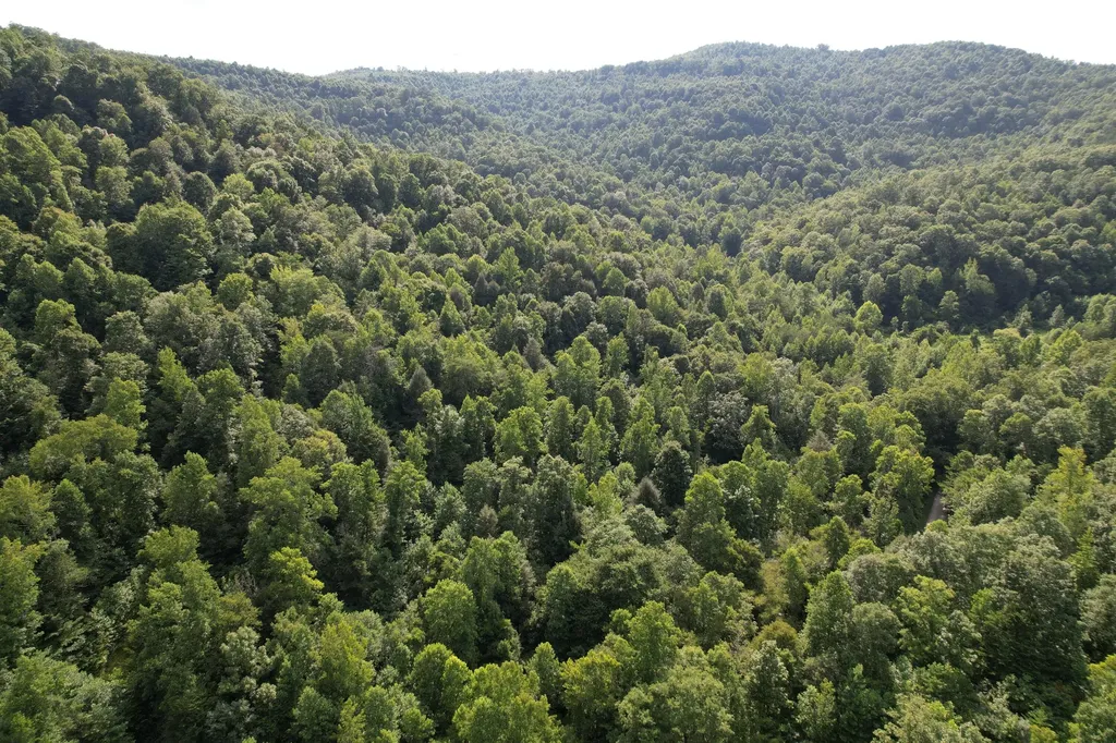 0 Little Rock Creek Road Strunk KY 42649
