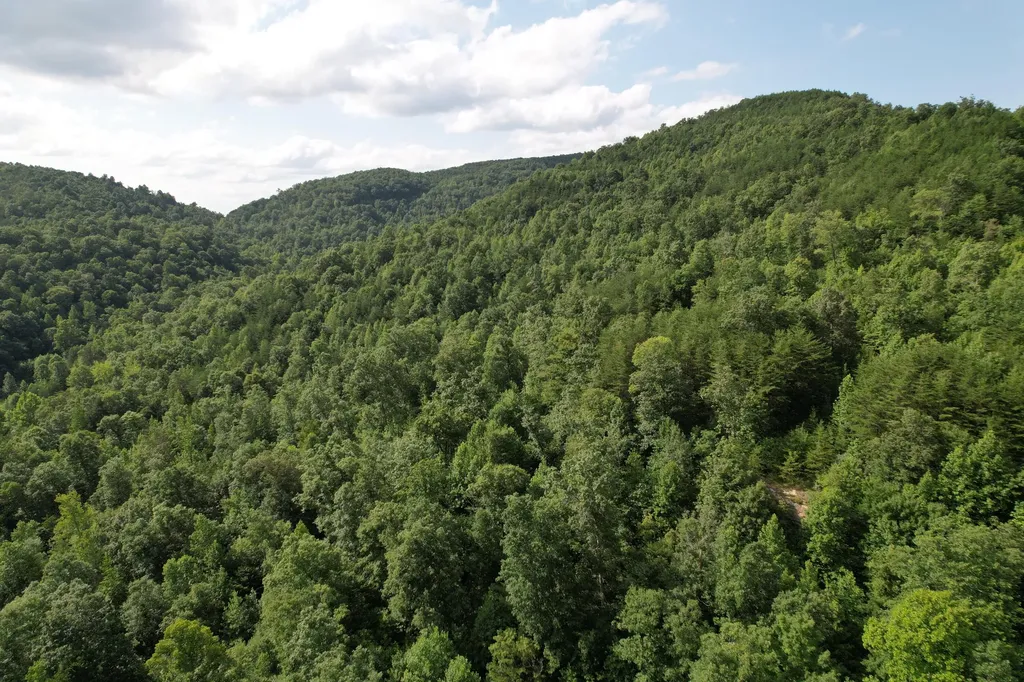 0 Little Rock Creek Road Strunk KY 42649