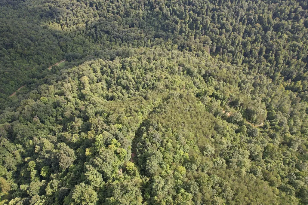 0 Little Rock Creek Road Strunk KY 42649
