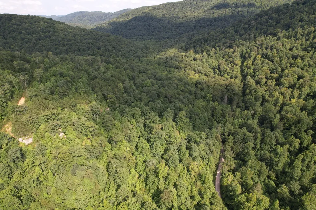 0 Little Rock Creek Road Strunk KY 42649