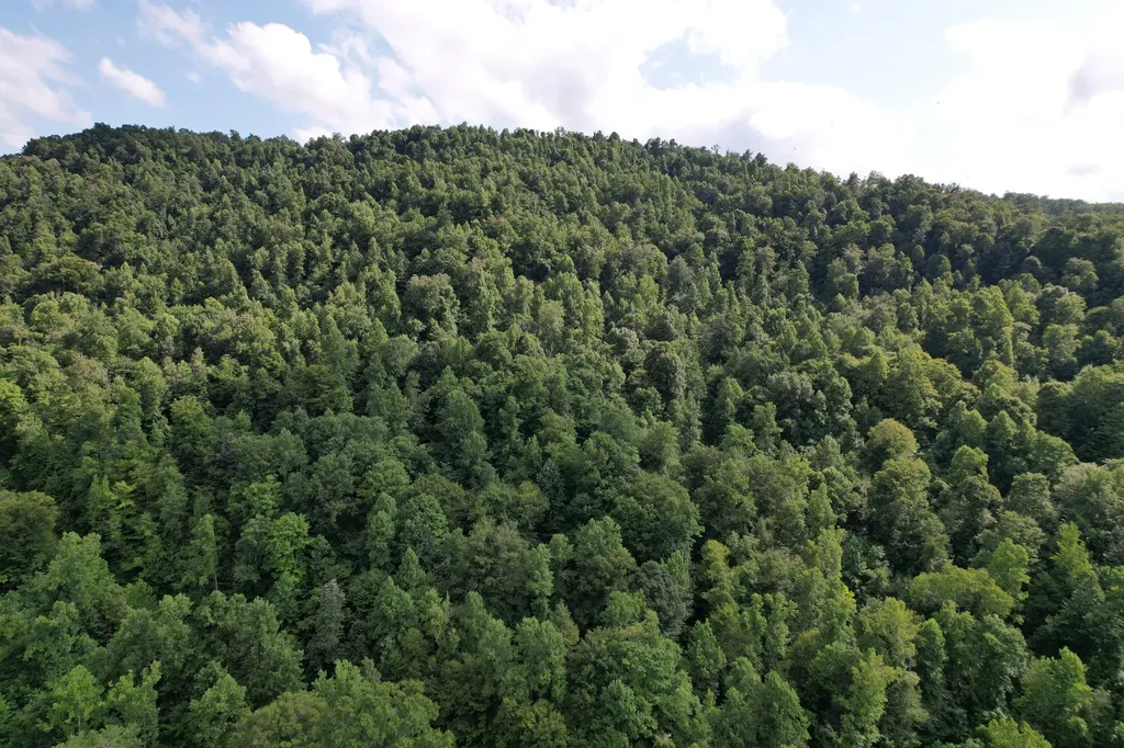 0 Little Rock Creek Road Strunk KY 42649