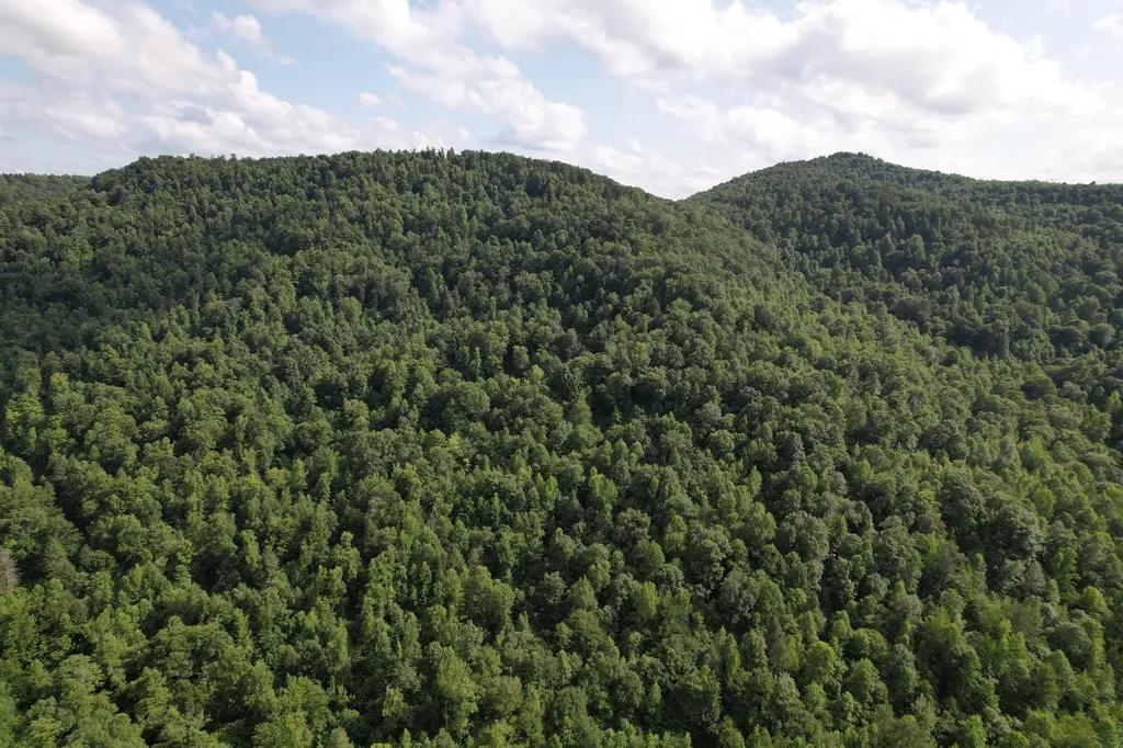 0 Little Rock Creek Road Strunk KY 42649
