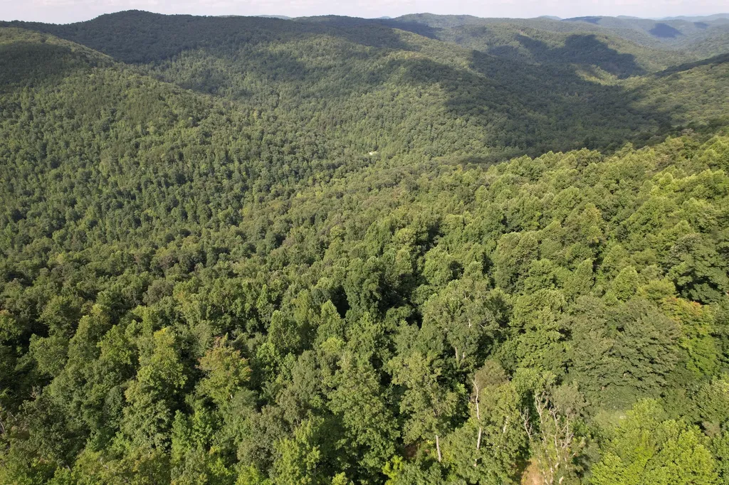 0 Little Rock Creek Road Strunk KY 42649